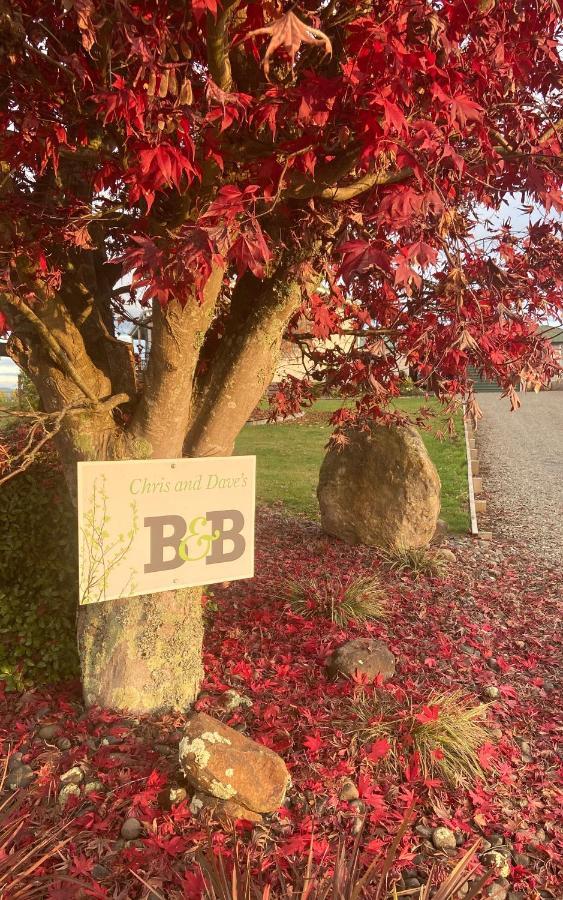 Chris And Dave'S B & B Otorohanga Exterior foto